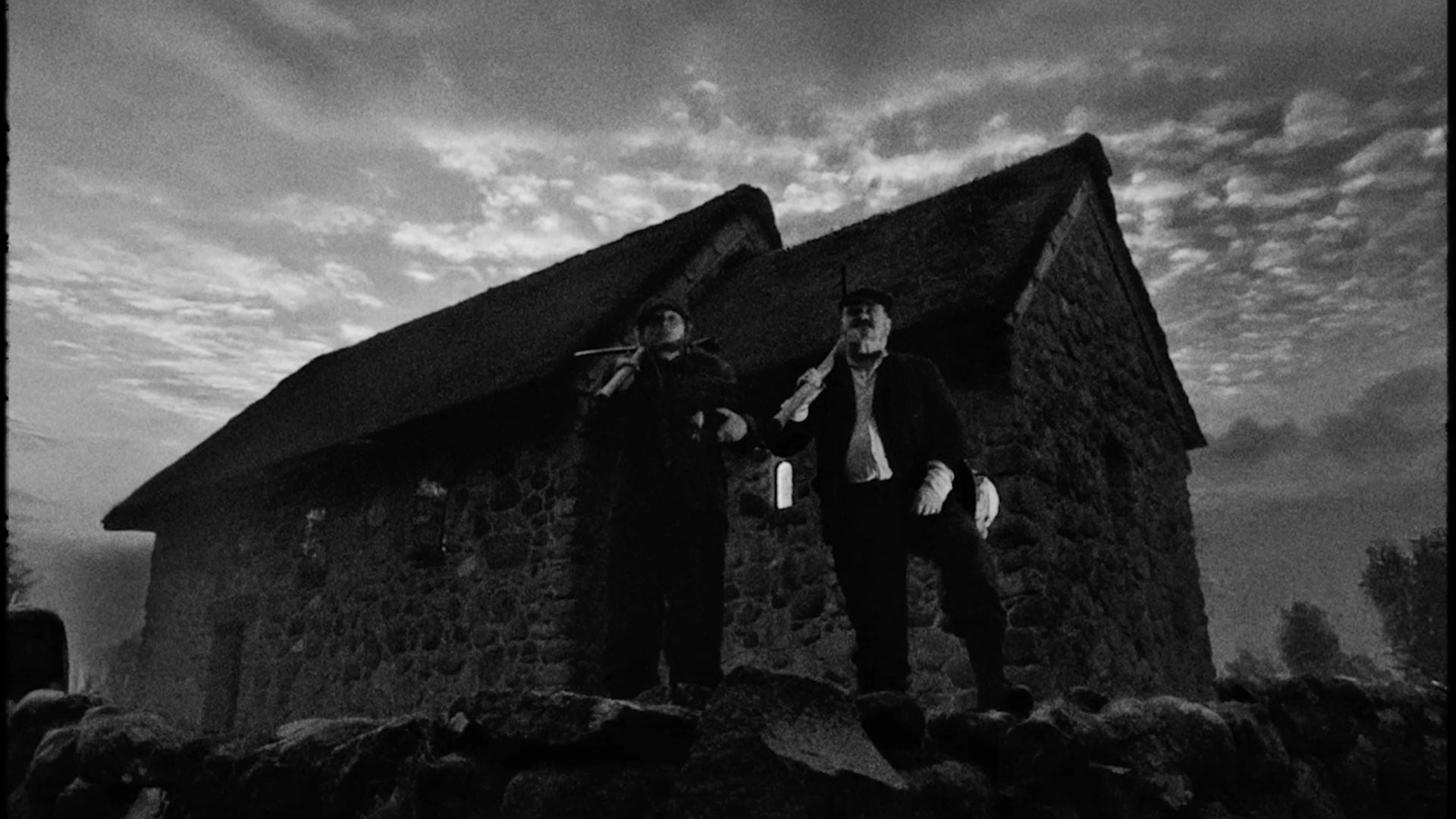 Birdie - Canary of Mine