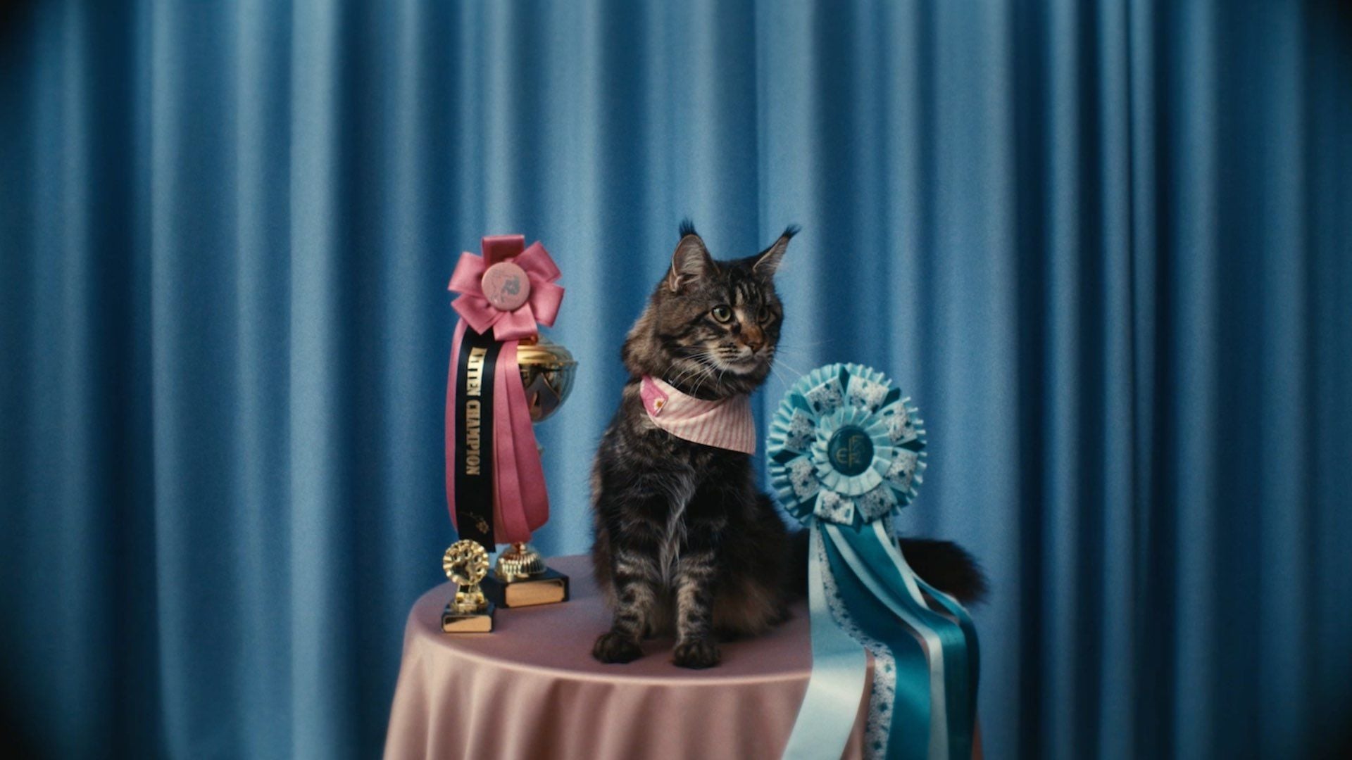 Lotto Plus - Spil Sammen