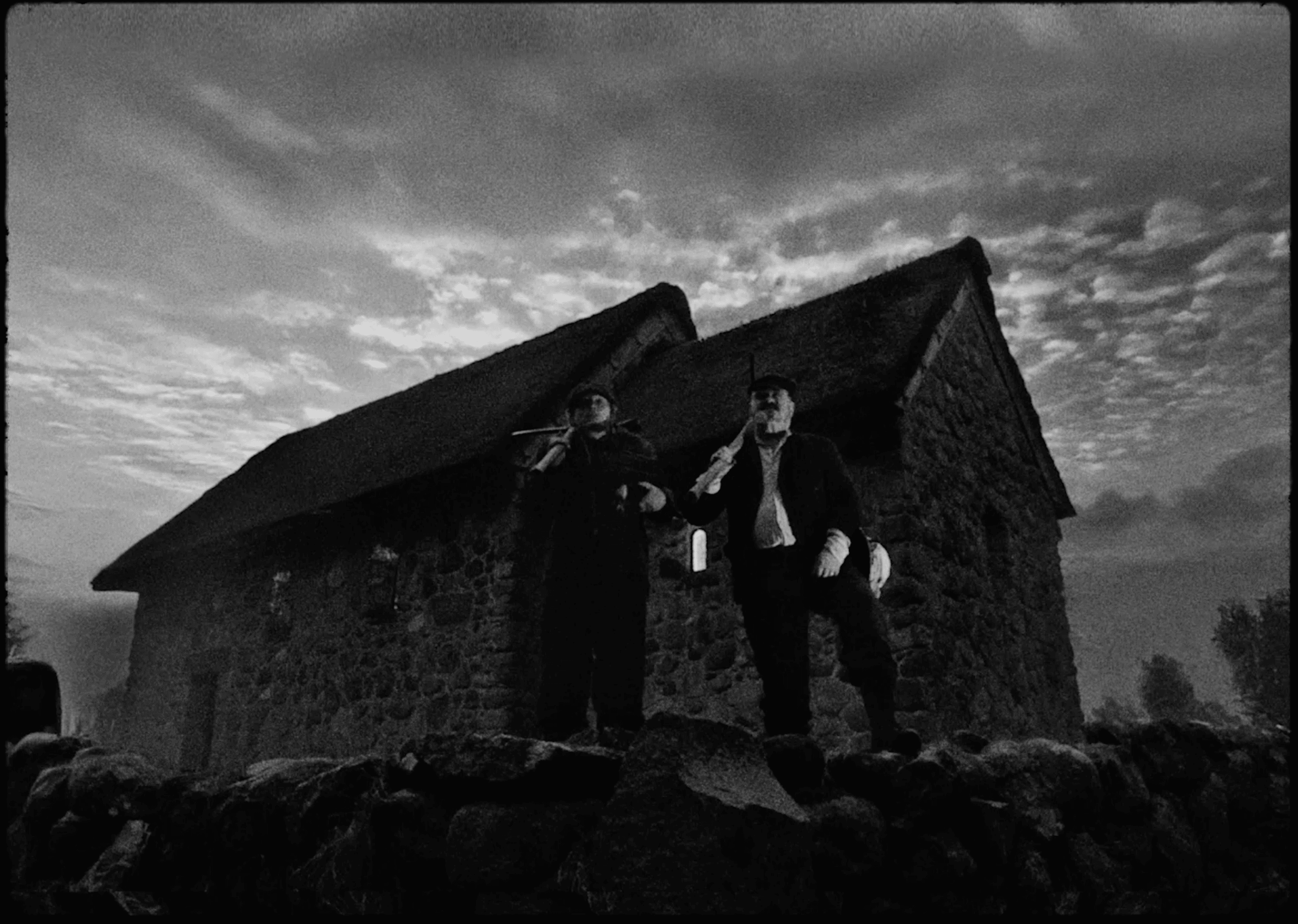 Birdie - Canary of Mine